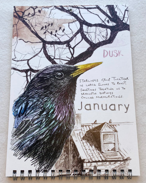 2025 Wildlife Calendar
