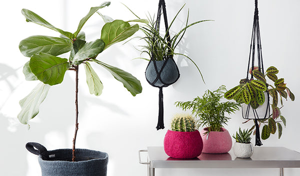 Flowerpot 16 | Small | Pink