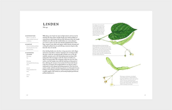 Forage: Wild Plants to Gather, Cook and Eat