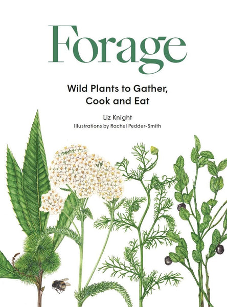 Forage: Wild Plants to Gather, Cook and Eat