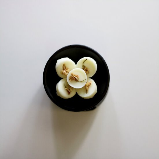 Citrus Burst Collection | 10 Soy Wax Melts