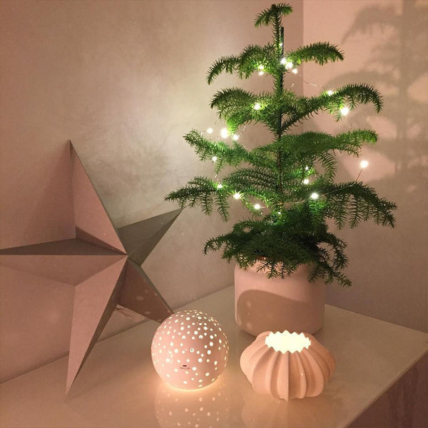Stella Tealight Holder | White