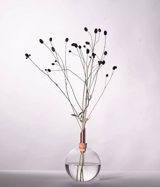 Glasilium Vase | Transparent