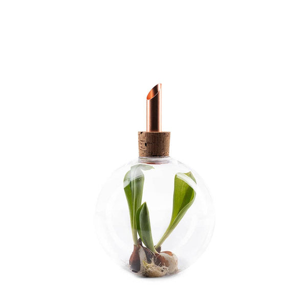 Glasilium Vase | Transparent