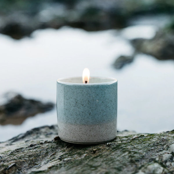 Candle | Wild gorse