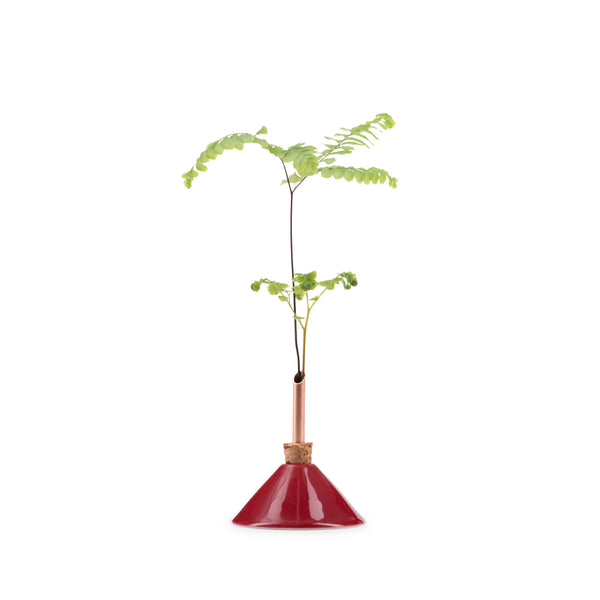 Consilium Vase | Snow White