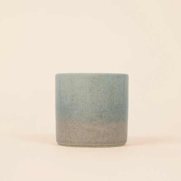 Candle | Wild gorse