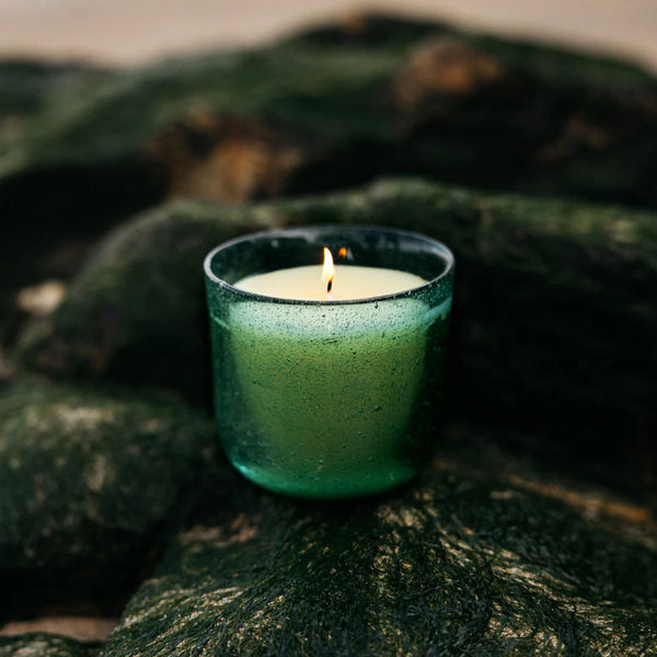 Candle | Sea Moss & Driftwood