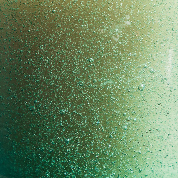 Candle | Sea Moss & Driftwood