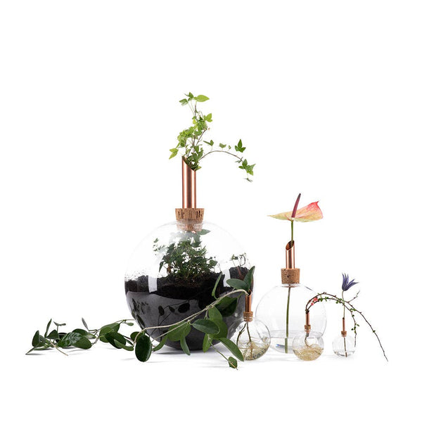 Glasilium Vase | Transparent