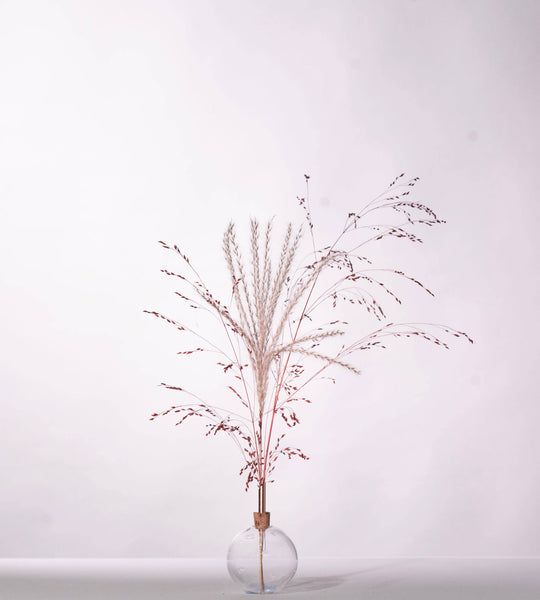 Glasilium Vase | Transparent