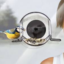 Bird Feeder