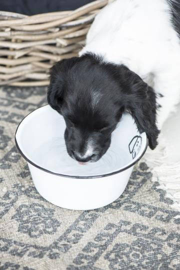 Enamel Dog Bowl - Medium