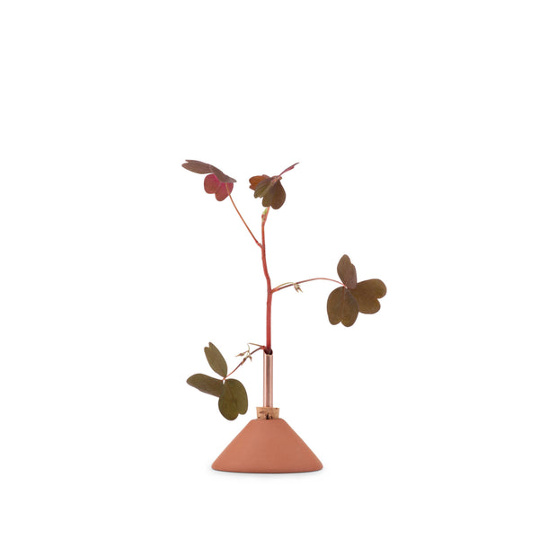 Consilium Vase | Snow White