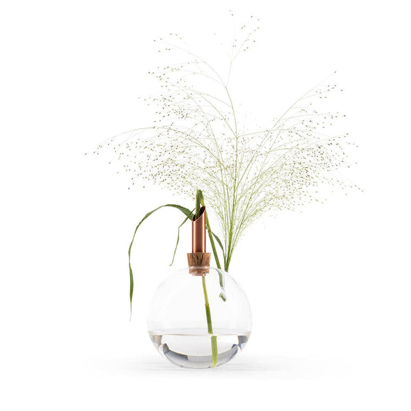 Glasilium Vase | Transparent
