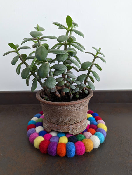 Felted Wool Ball Placemat/Trivet | Multi-Brights