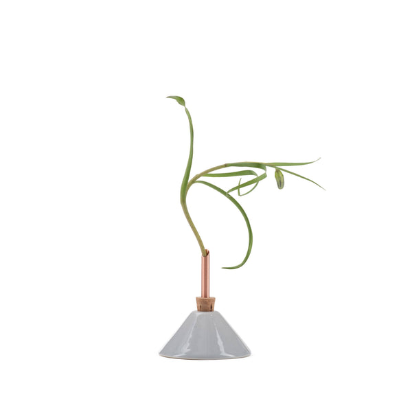 Consilium Vase | Snow White