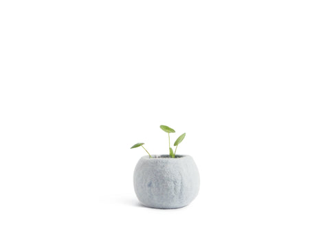 Flowerpot 16 | Small | Arctic Blue