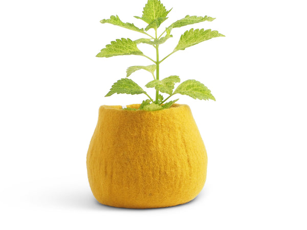 Flowerpot 16 | Medium | Mustard