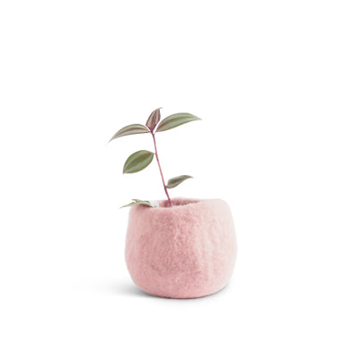 Flowerpot 16 | Small | Pink