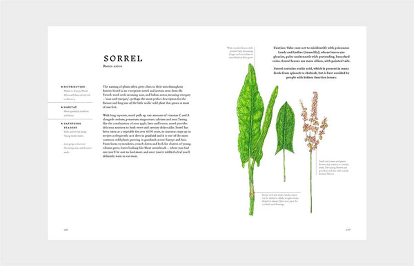 Forage: Wild Plants to Gather, Cook and Eat